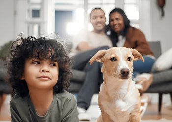 Infinity at Centerville Crossing A child and a dog sit on a rug, with two adults smiling on a couch in the background.